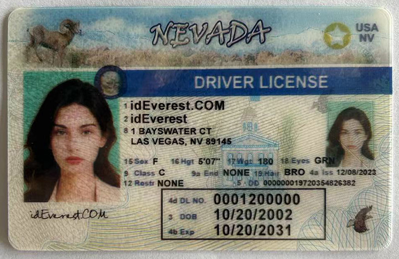 Nevada fake IDs